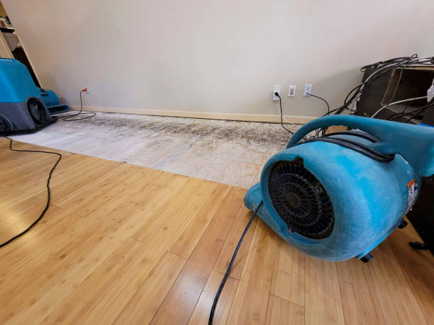 Professional Water Extraction technician working in Colon, NE